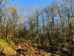 Images for Kennford, Exeter