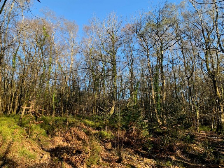 Images for Kennford, Exeter