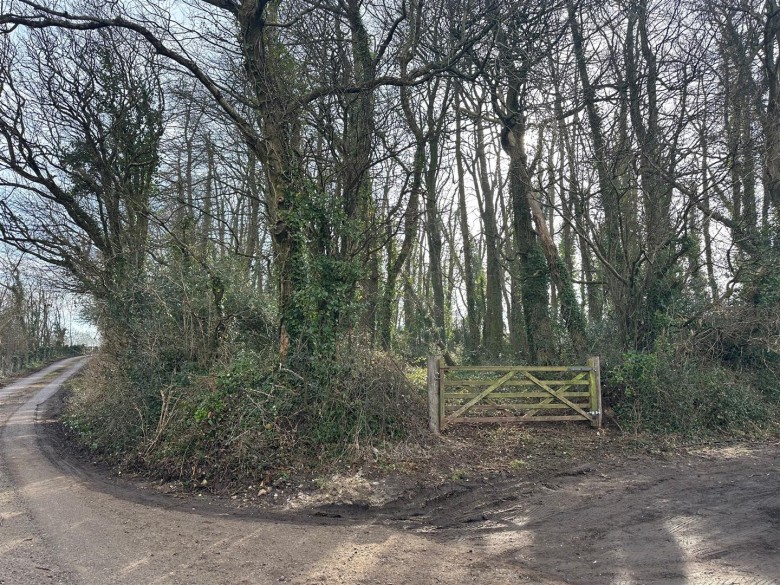Click the photo for more details of Timber Hill, Lyme Regis