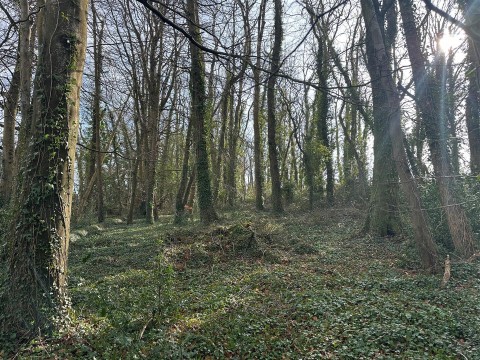 Click the photo for more details of Timber Hill, Lyme Regis