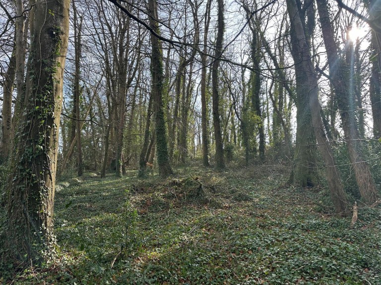 Images for Timber Hill, Lyme Regis