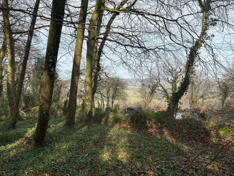 Click the photo for more details of Timber Hill, Lyme Regis