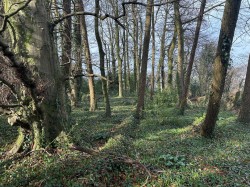 Images for Timber Hill, Lyme Regis