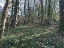 Images for Timber Hill, Lyme Regis