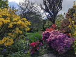 Images for Golf Links Road, Yelverton
