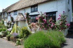 Images for East Chinnock, Yeovil