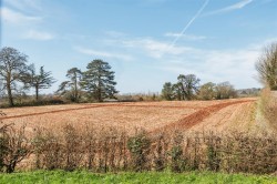 Images for Budlake, Exeter