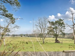 Images for Organford Road, Holton Heath, Poole