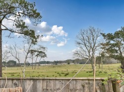 Images for Organford Road, Holton Heath, Poole