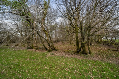 Click the photo for more details of Halwill, Beaworthy