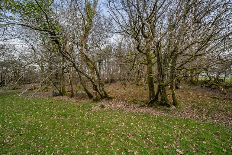 Images for Halwill, Beaworthy