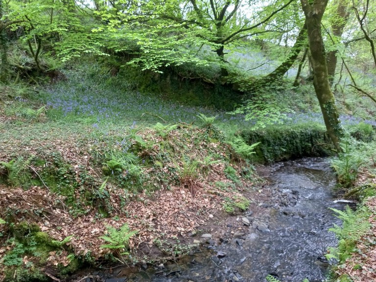 Images for West Putford, Holsworthy