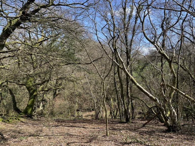 Images for West Putford, Holsworthy