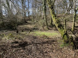 Images for West Putford, Holsworthy