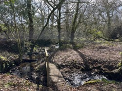 Images for West Putford, Holsworthy