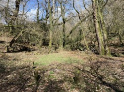 Images for West Putford, Holsworthy