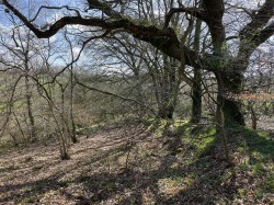 Images for West Putford, Holsworthy