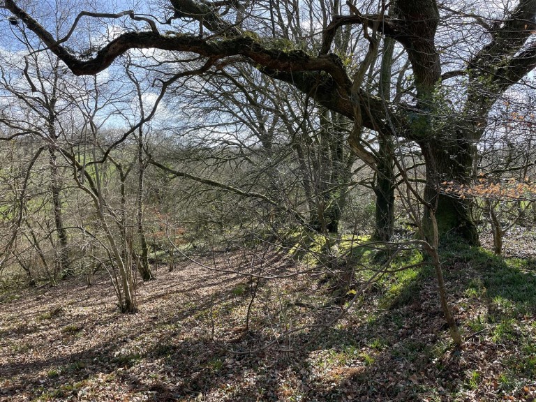 Images for West Putford, Holsworthy
