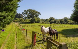 Images for Newchurch, Isle of Wight