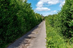 Images for Back Lane, Curry Rivel, Langport