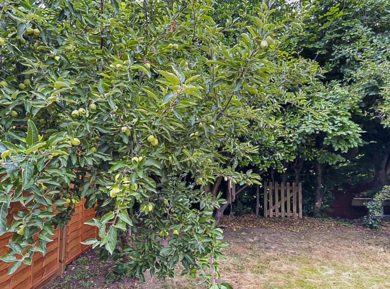 Images for Buristead Road, Great Shelford
