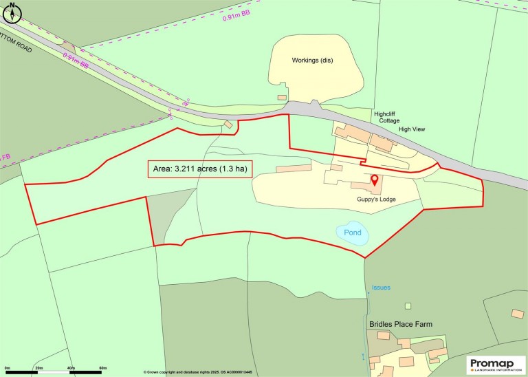 Images for Fishpond Bottom