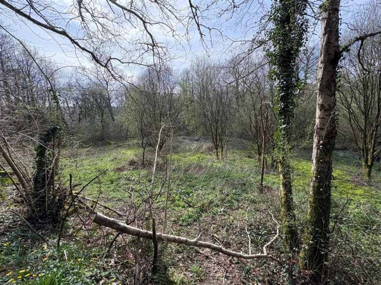 Click the photo for more details of Looe Mills, Liskeard