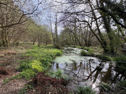 Click the photo for more details of Looe Mills, Liskeard