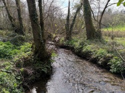 Images for Looe Mills, Liskeard