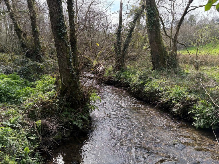 Images for Looe Mills, Liskeard