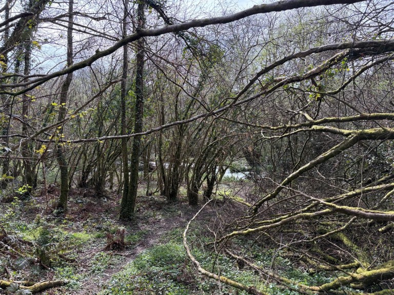 Images for Looe Mills, Liskeard