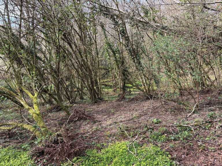 Images for Looe Mills, Liskeard