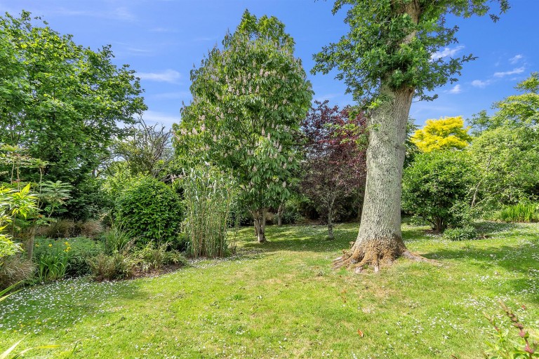Images for Lyme Road, Axminster