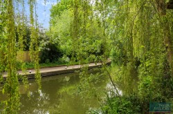 Images for The Woodlands, Market Harborough