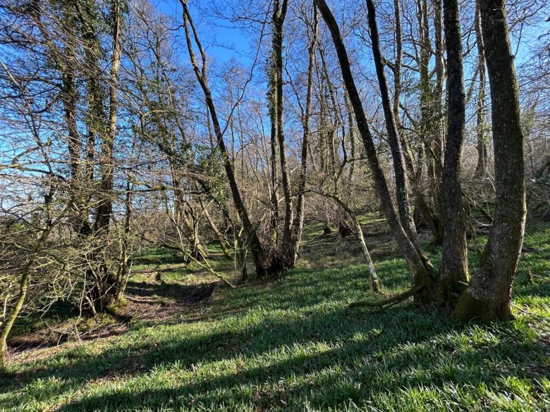 Click the photo for more details of Farway, Colyton