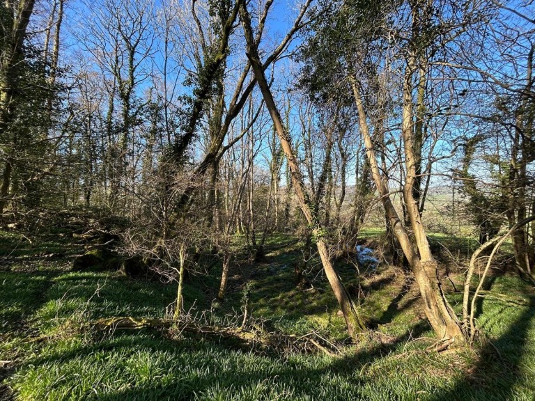 Images for Farway, Colyton