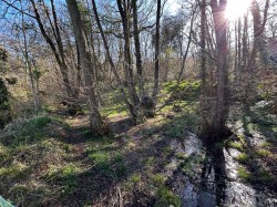 Images for Farway, Colyton