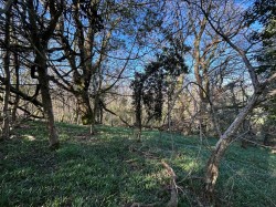 Images for Farway, Colyton
