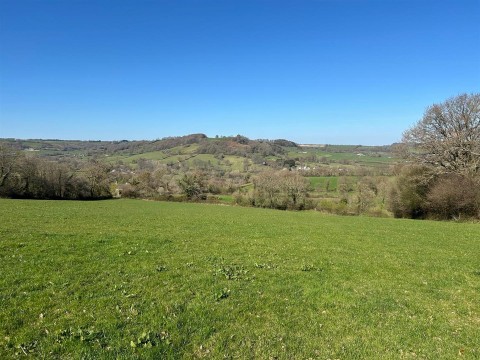 Click the photo for more details of Farway, Colyton