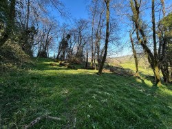 Images for Farway, Colyton