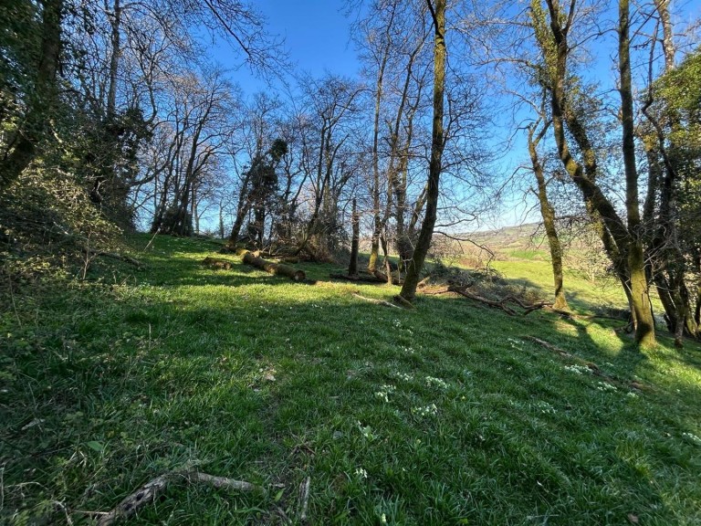 Images for Farway, Colyton