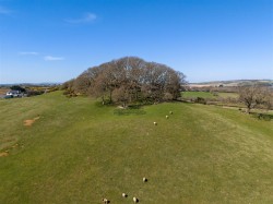 Images for Queen Bower, Sandown, Isle of Wight