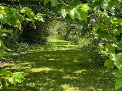 Images for St. Helens, Isle of Wight