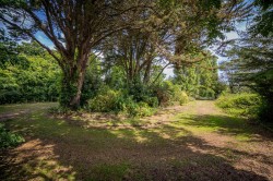 Images for St. Helens, Isle of Wight