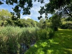 Images for St. Helens, Isle of Wight
