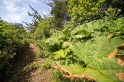 Images for St. Helens, Isle of Wight