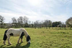 Images for Crowden, Northlew, Okehampton