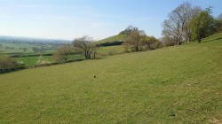 Images for Middle Chinnock, Crewkerne