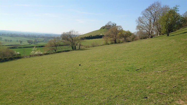Images for Middle Chinnock, Crewkerne