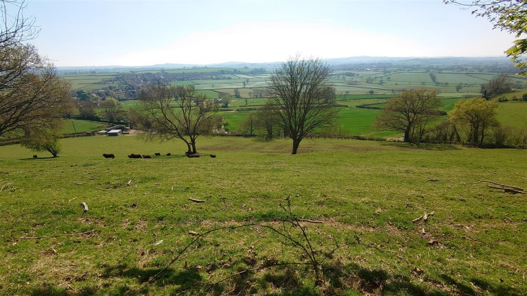 Images for Middle Chinnock, Crewkerne